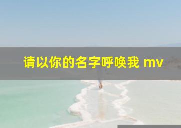 请以你的名字呼唤我 mv